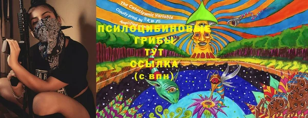 героин Алексин